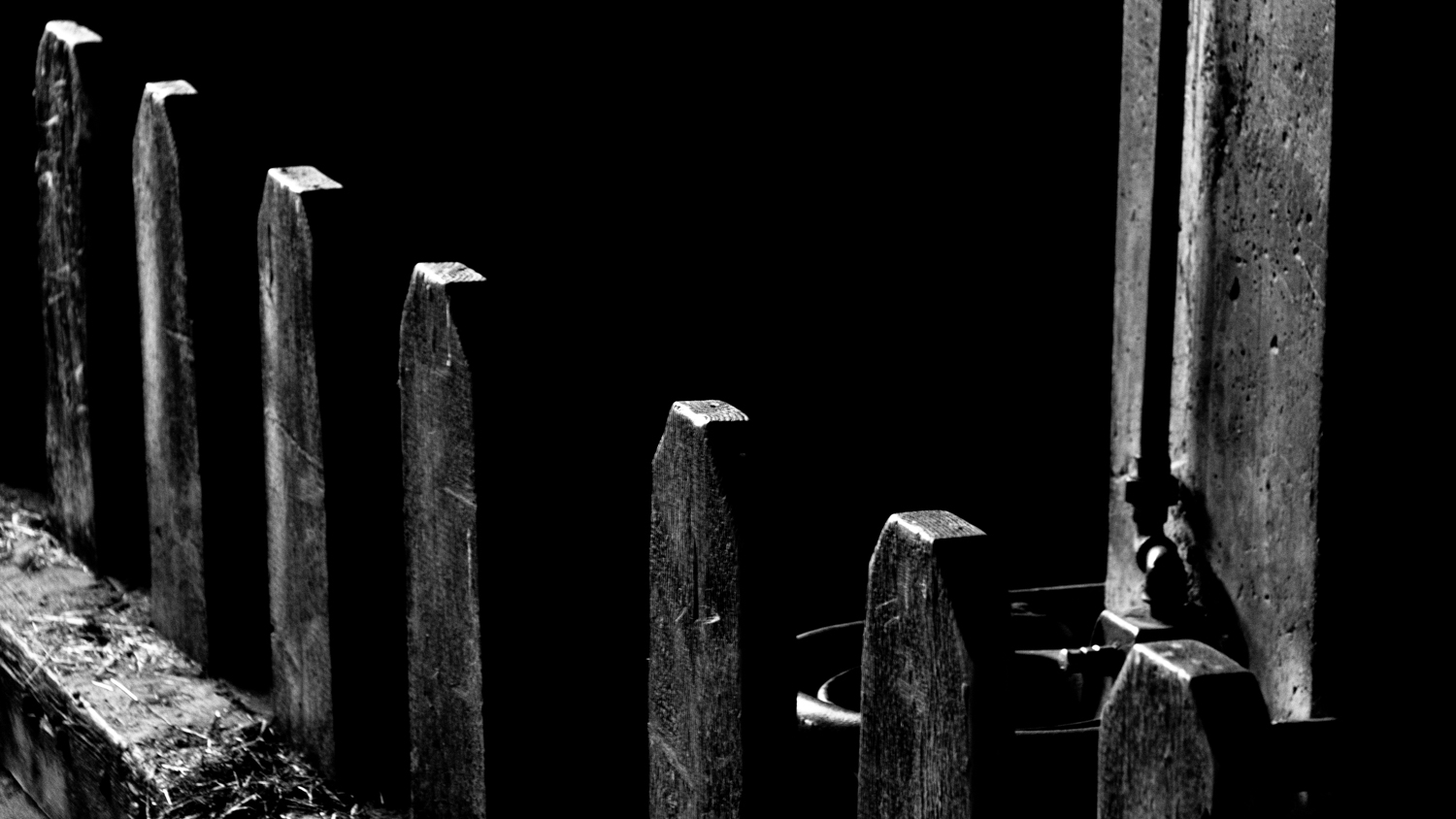 LowKey im Kuhstall - schmarz-weiss