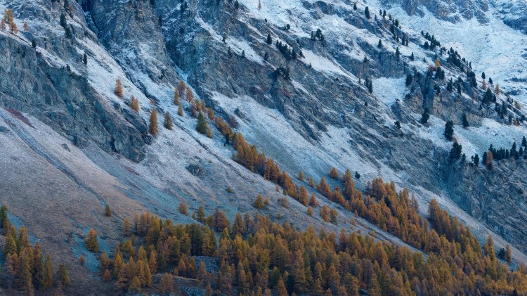 sogesehen – Monatsfoto&nbsp;November