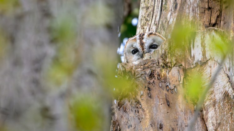 sogesehen – Monatsfoto Januar&nbsp;2026