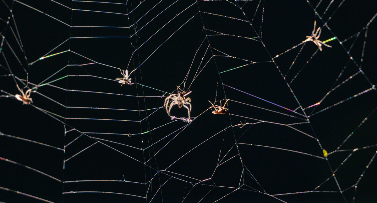 sogesehen – Monatsfoto März&nbsp;2026