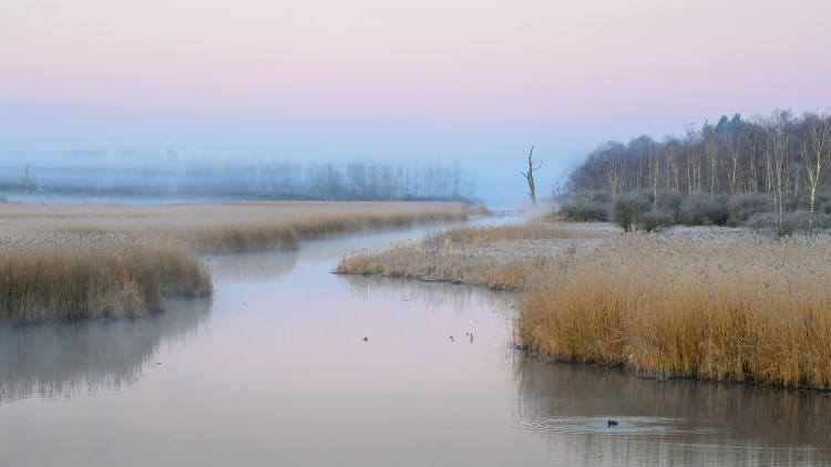 sogesehen – Monatsfoto April&nbsp;2026
