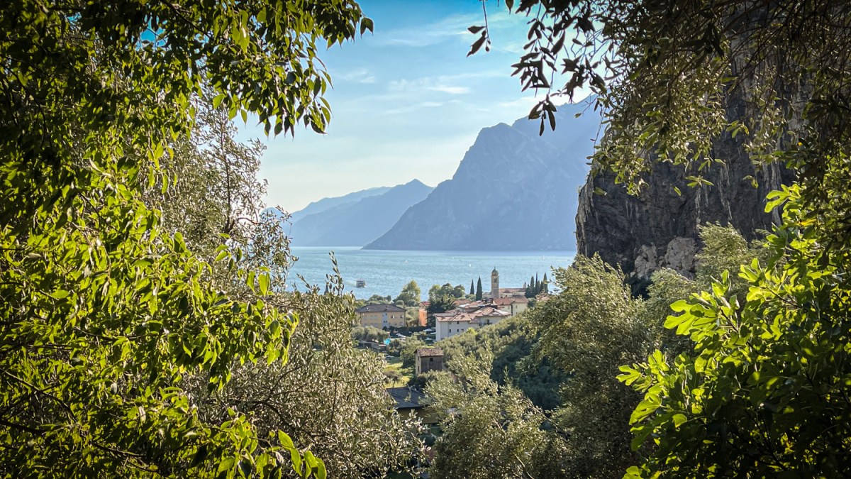 sogesehen – Monatsfoto September&nbsp;2026